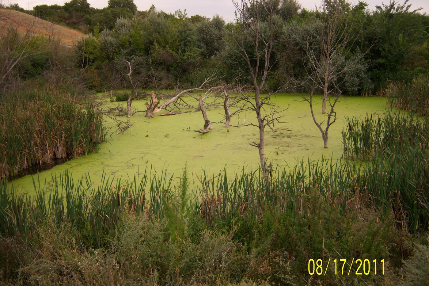 ���� ����������� 262.jpg. ������, ����������� �������, �������, Unnamed Road