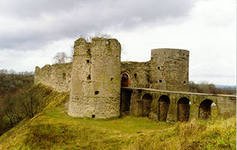 ���� �������� �������. ������, ������������� �������, �������, 41�-014