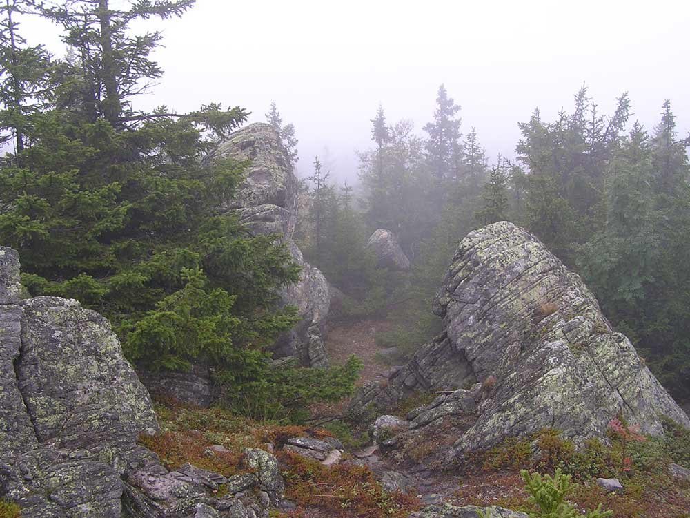 ���� ������ ������. ������, ����������� �������, Unnamed Road