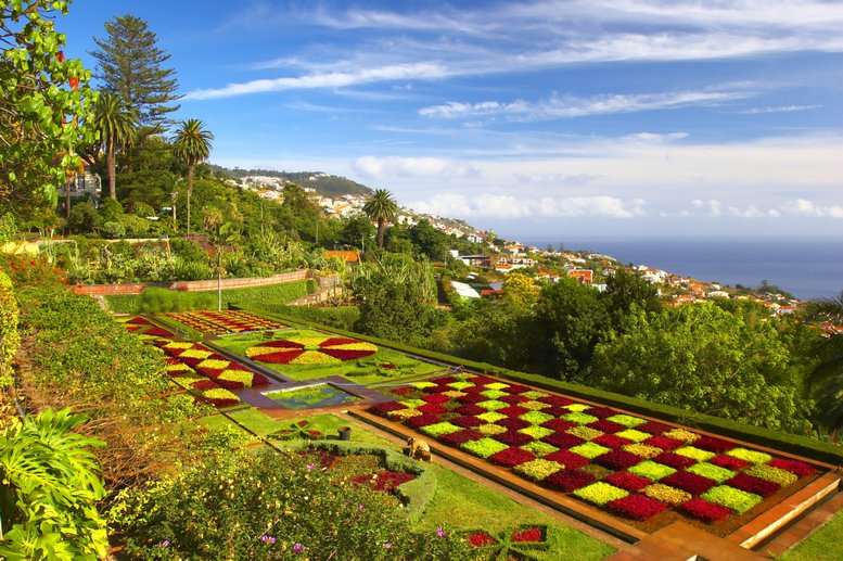  . , Madeira, , V1