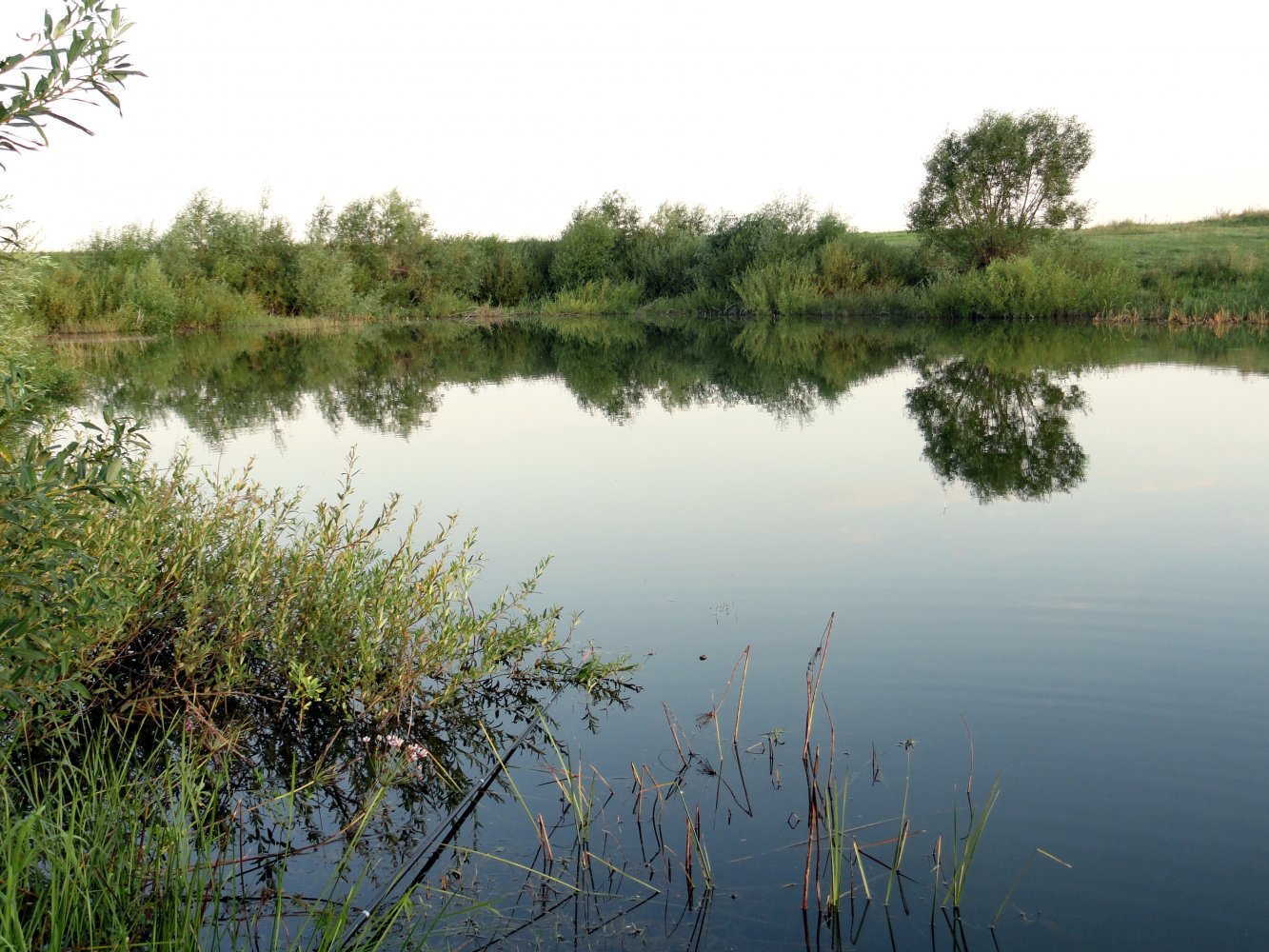 Семеновский пруд Тамбовская область