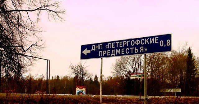 Петергофские предместья план поселка