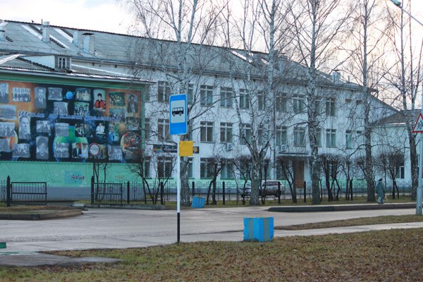 Зеленогорск Фото Школы