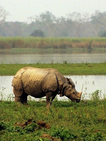  . , Assam, Lukhura-Khonia, AT Road