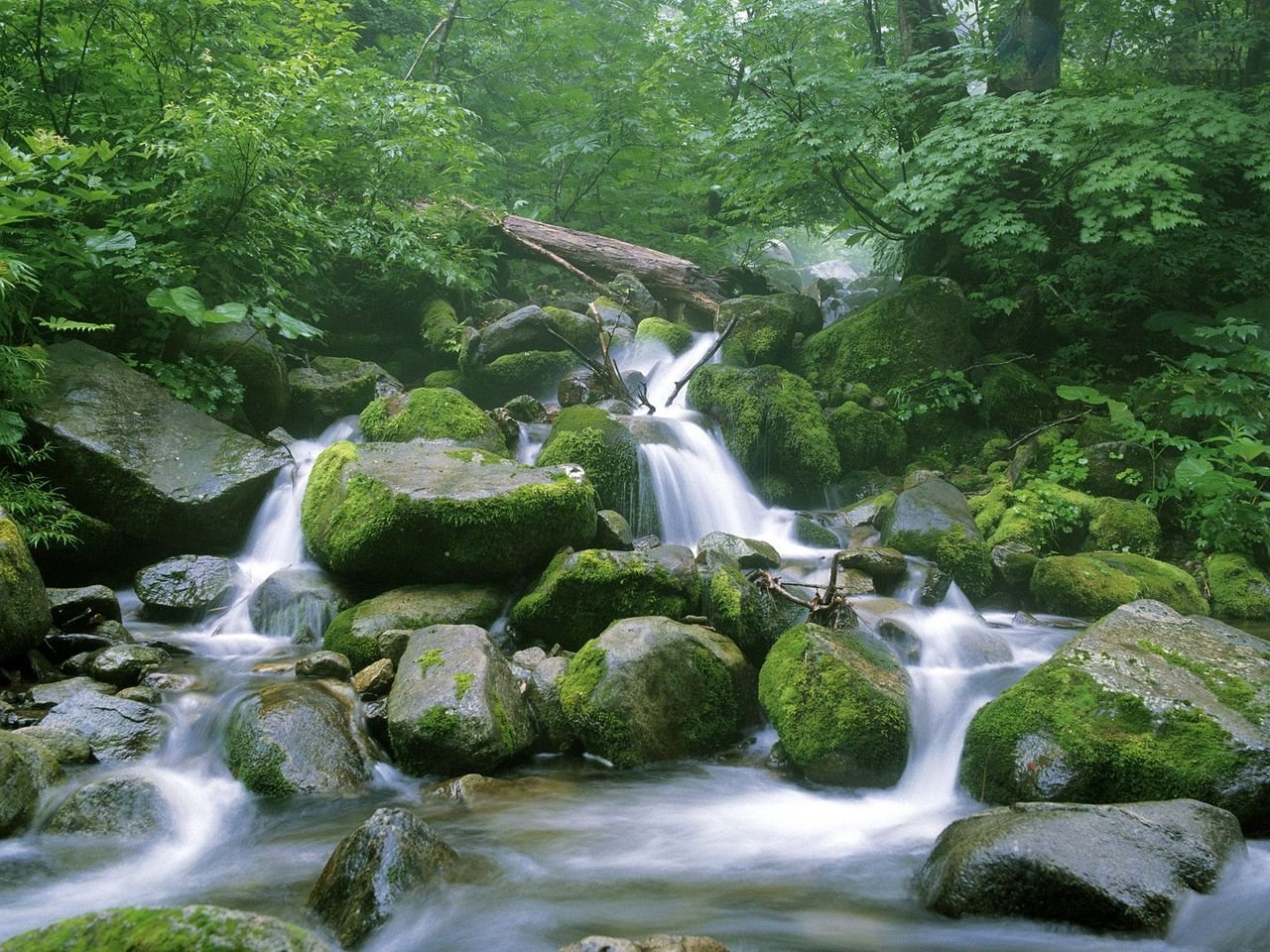   . , Aomori-ken, Ajigasawa-machi, Unnamed Road