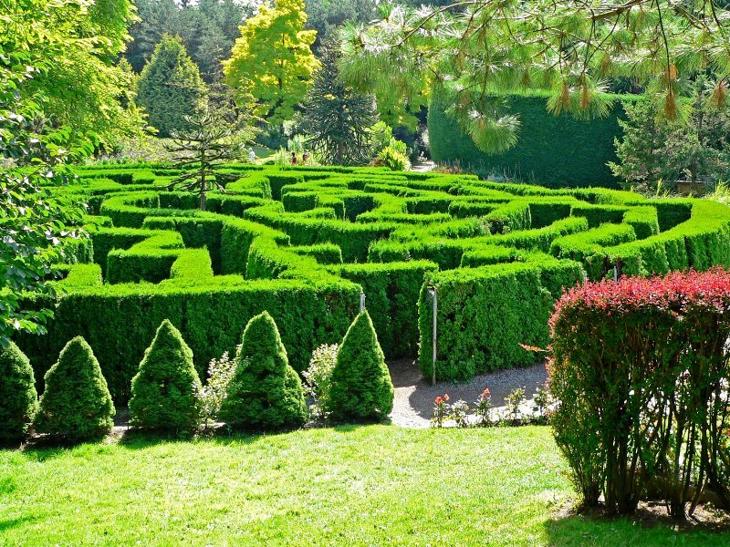 Королевский ботанический сад, Перадения - Royal Botanical Gardens, Peradeniya