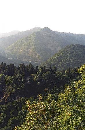   3. , Samtskhe-Javakheti, Borjomi, Gamarjveba Street