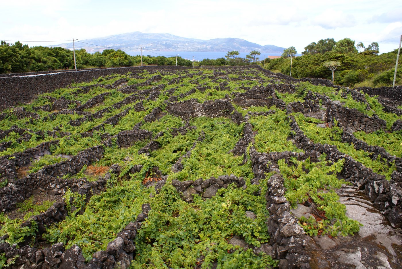   . , Azores, 2-2