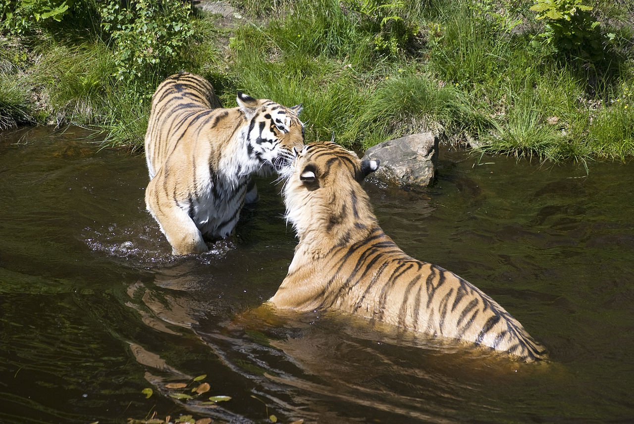    . , -, Dyreparkveien, 1