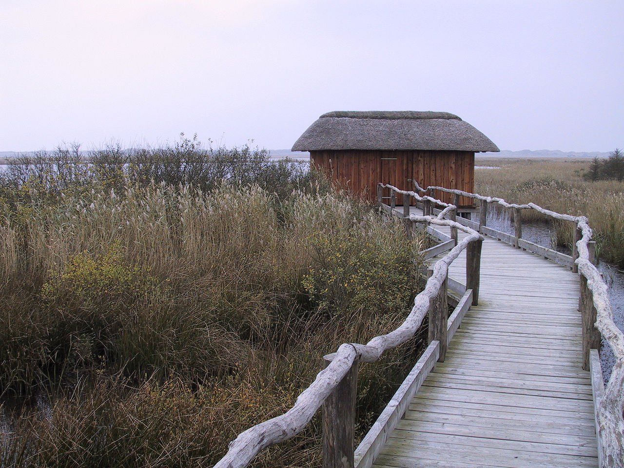   Vest Stadil. , Ringkobing, Houvig Klitvej, 40