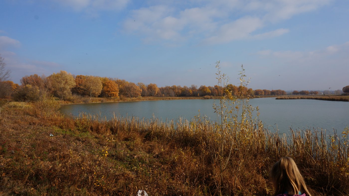Озеро Кривуша Самарская область