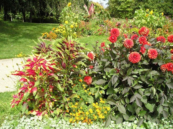    . , Ile-de-France, Paris, Allee des Rhododendrons