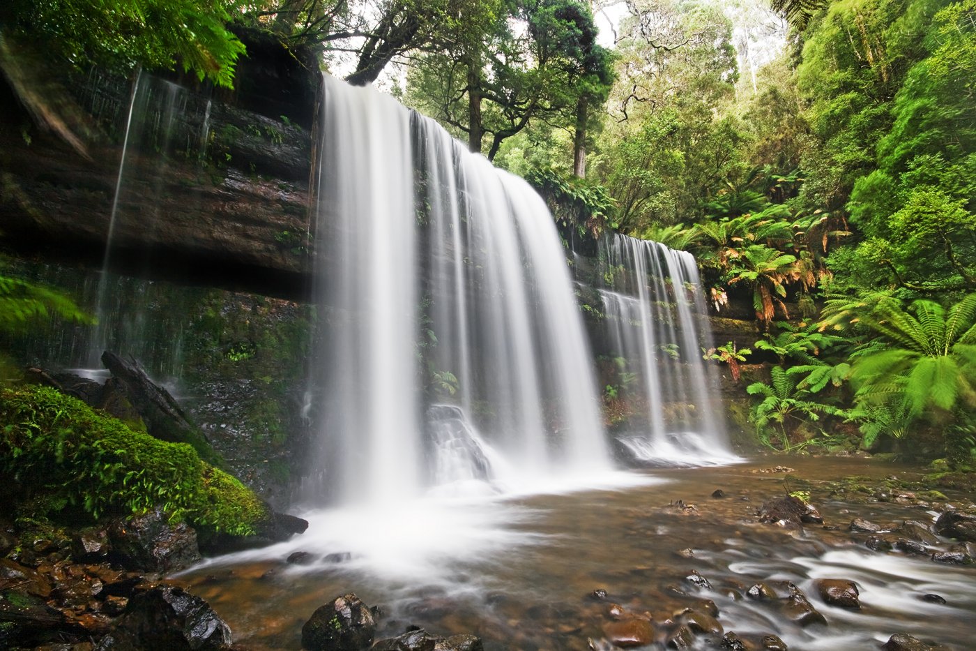   . , Tasmania, National Park, Lake Dobson Road, 40