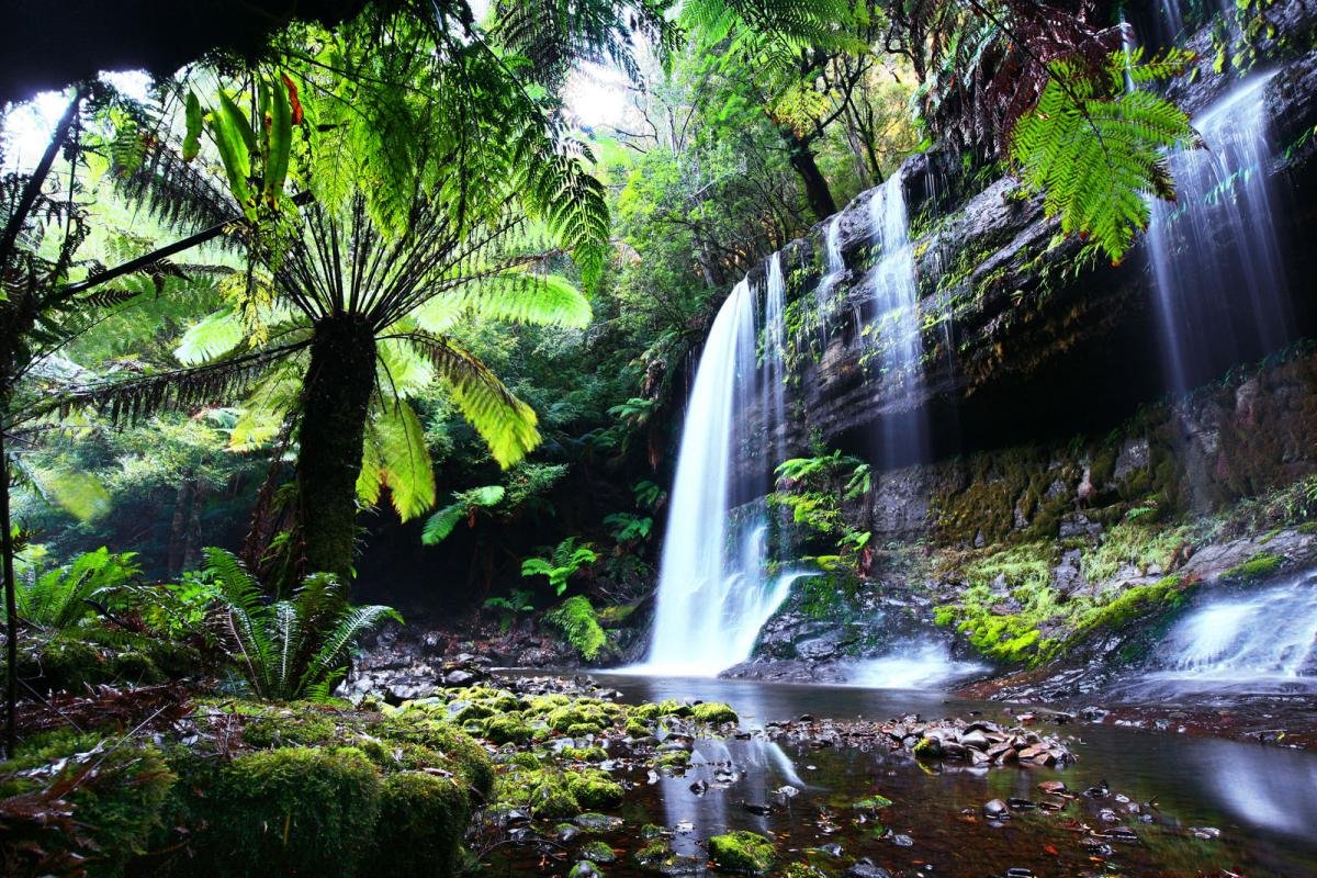   . , Tasmania, National Park, Lake Dobson Road, 40