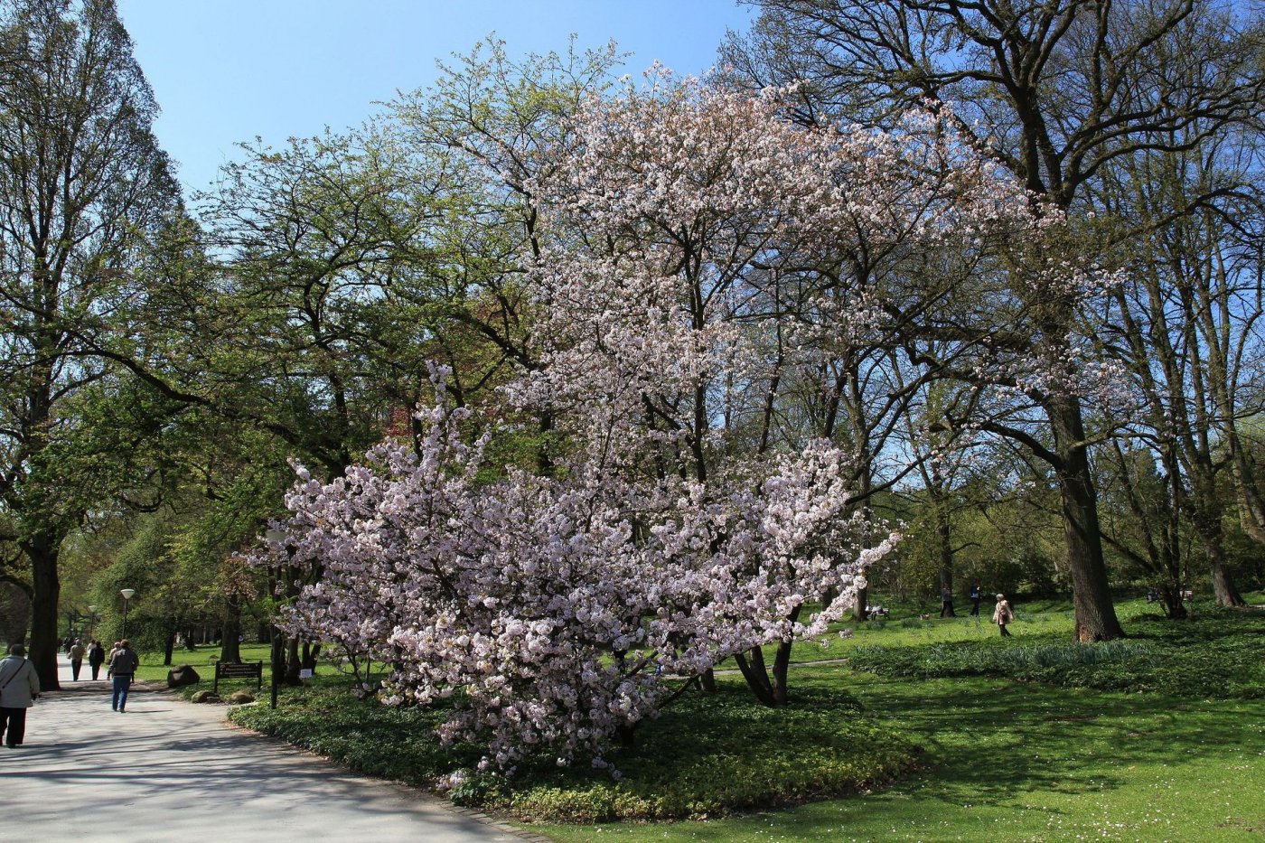  -. , Nordrhein-Westfalen, Dortmund, Am Rombergpark, 49A