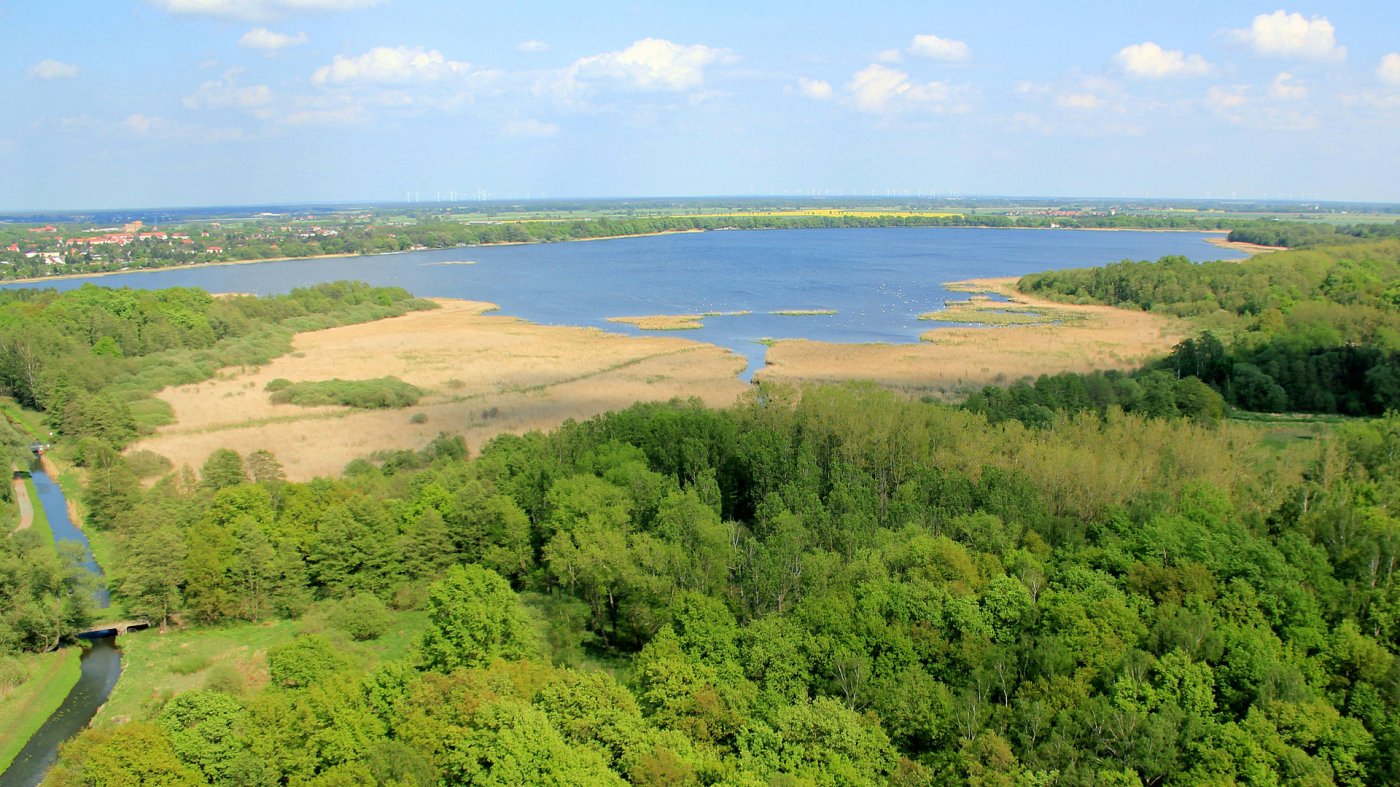    . , Sachsen, Torgau, Strandbadweg, 70