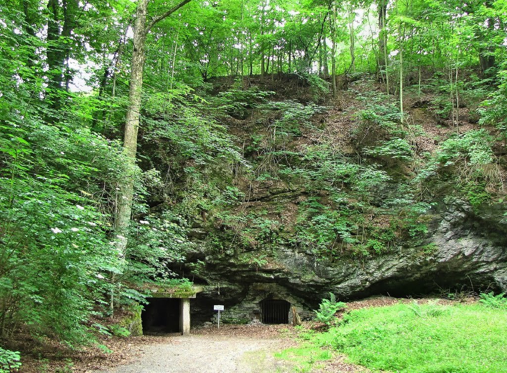   -  . , Sachsen, Chemnitz, Weg nach dem Kalkwerk, 2