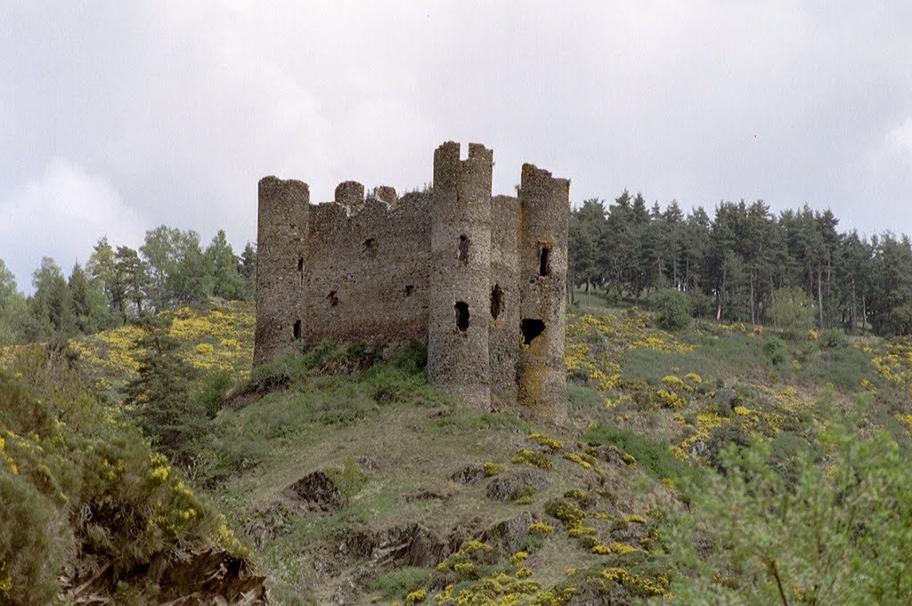   . , Auvergne, Alleuze, D40