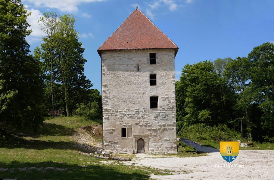    . , Champagne-Ardenne, Vignory, Le Chateau