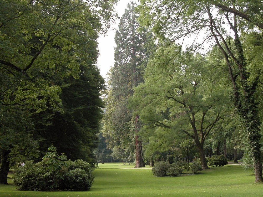   . , Baden-Wurttemberg, Baden-Baden, Lichtentaler Allee, 1