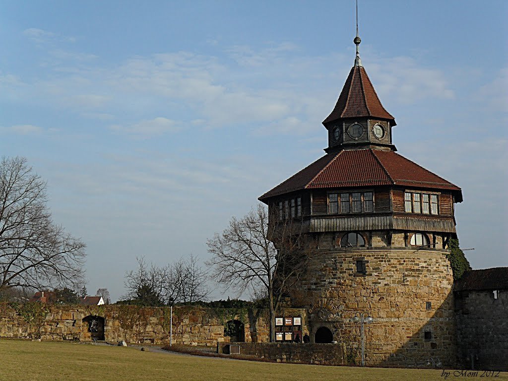   . , Baden-Wurttemberg, Esslingen am Neckar, Burg, 1