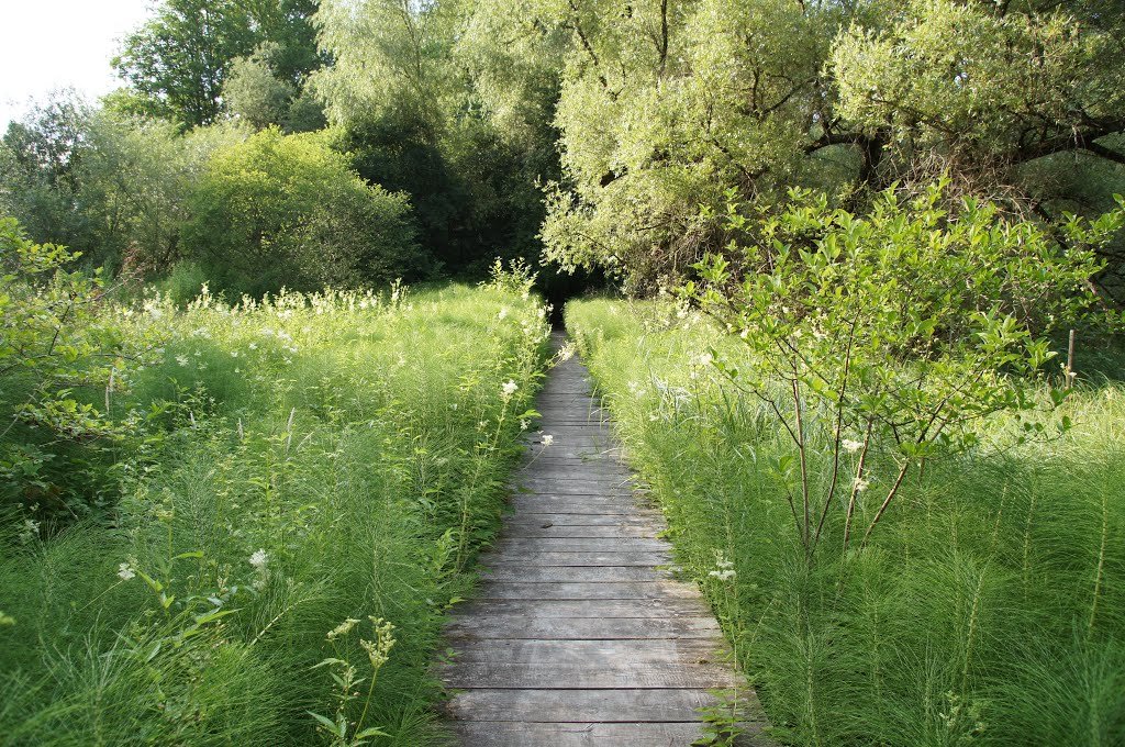    . , Brandenburg, Eberswalde, Schwappachweg, 17