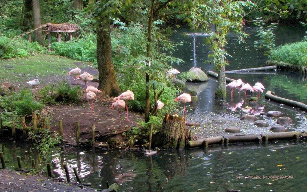  . , Brandenburg, Eberswalde, Am Wasserfall, 2