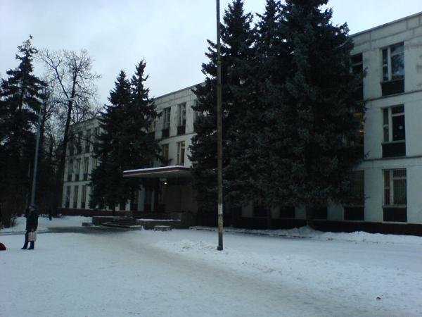 Школа 98 Фото