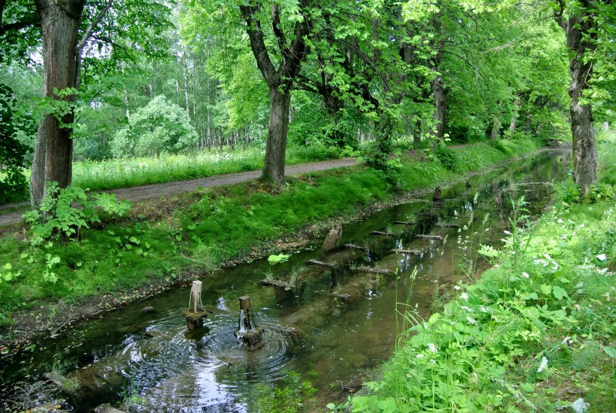 Карта лугового парка