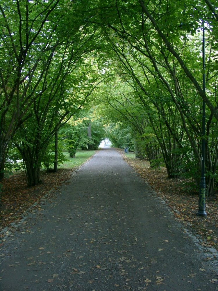   . , Uppsala lan, , Gosta Knutssons promenad