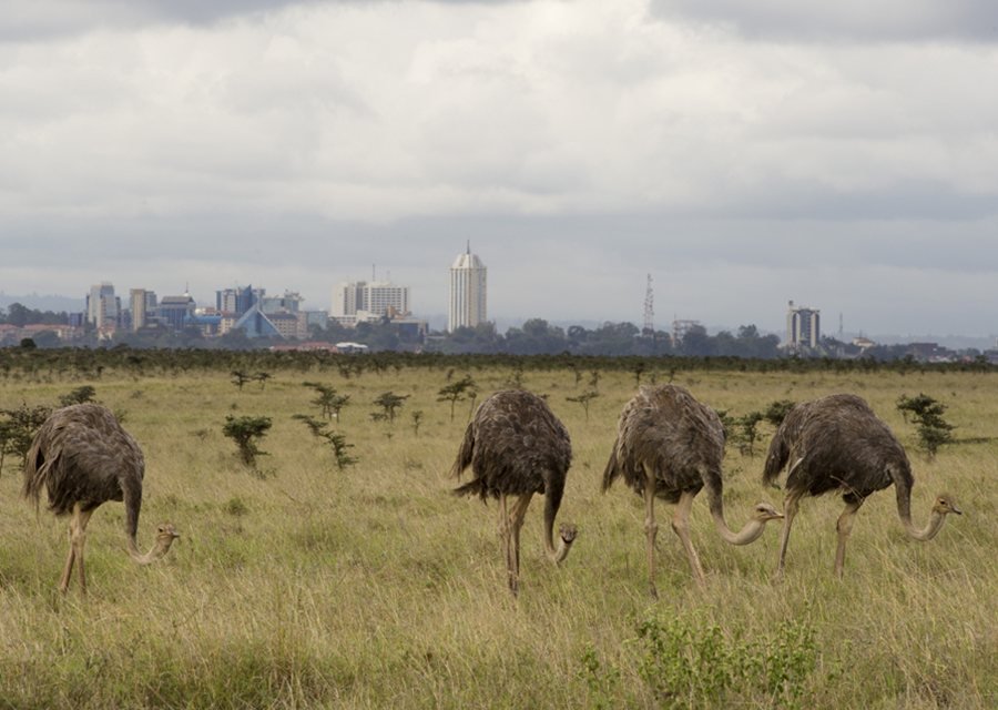   . , Nairobi, Unnamed Road