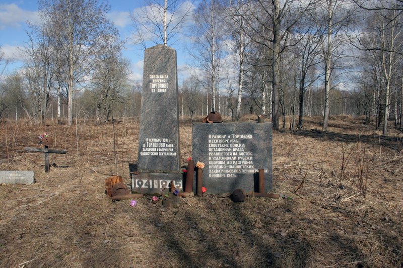 Тортолово ленинградская область карта