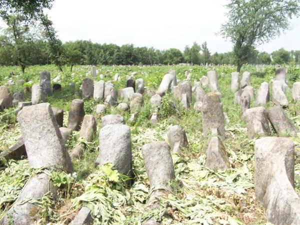 ����  �1. �������, ����������� �������, ��������, ����� ������ ����������, 8