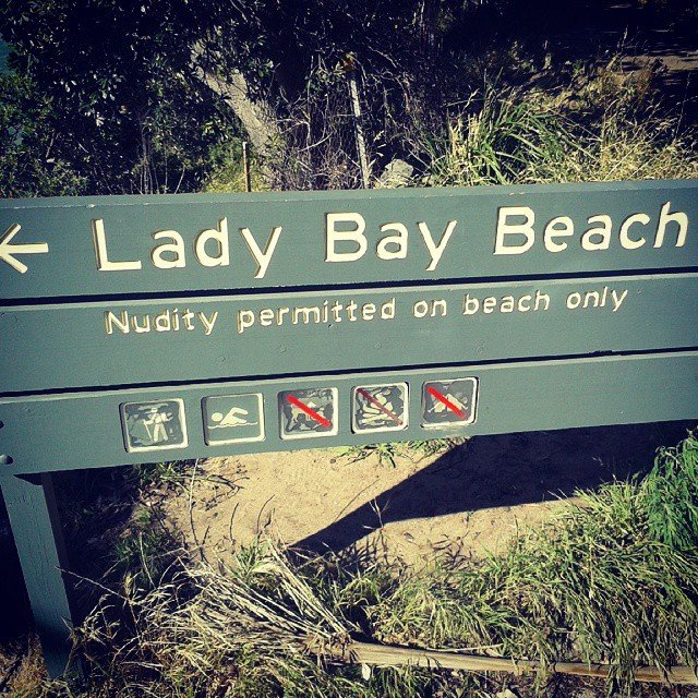  Lady Bay beach. , New South Wales, Watsons Bay, South Head Heritage Trail