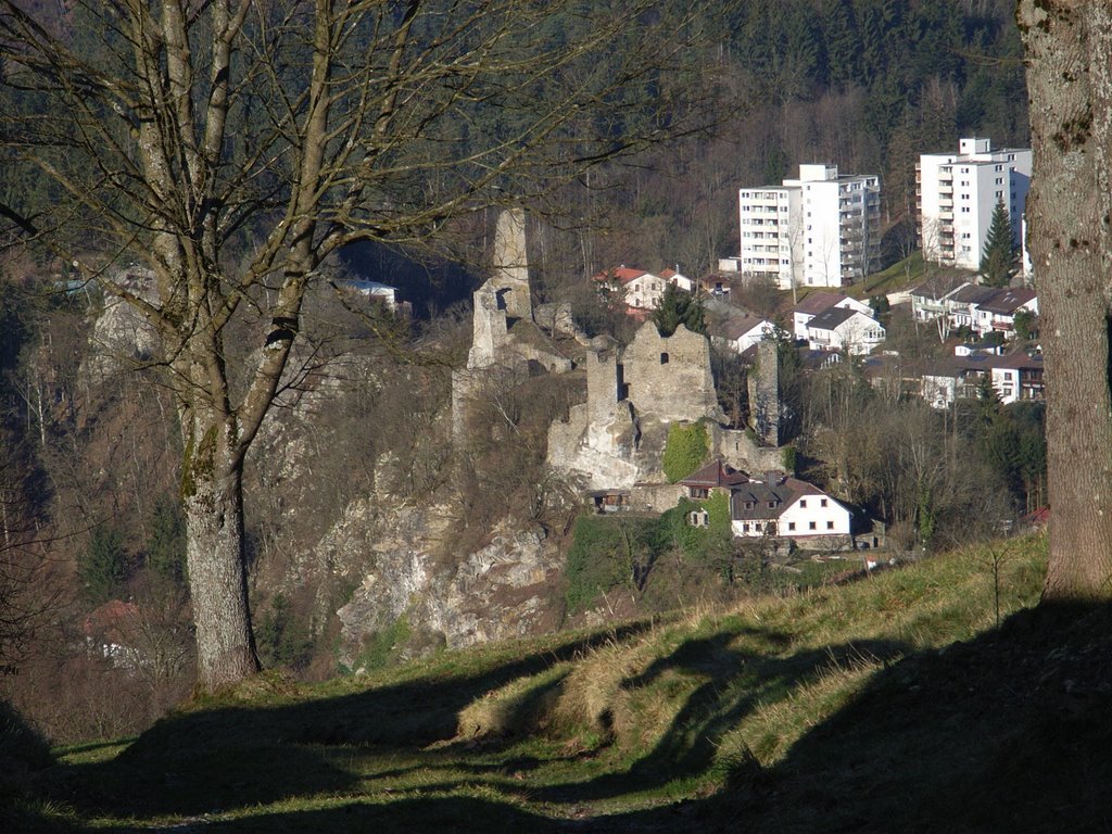  Burgruine Hals. 