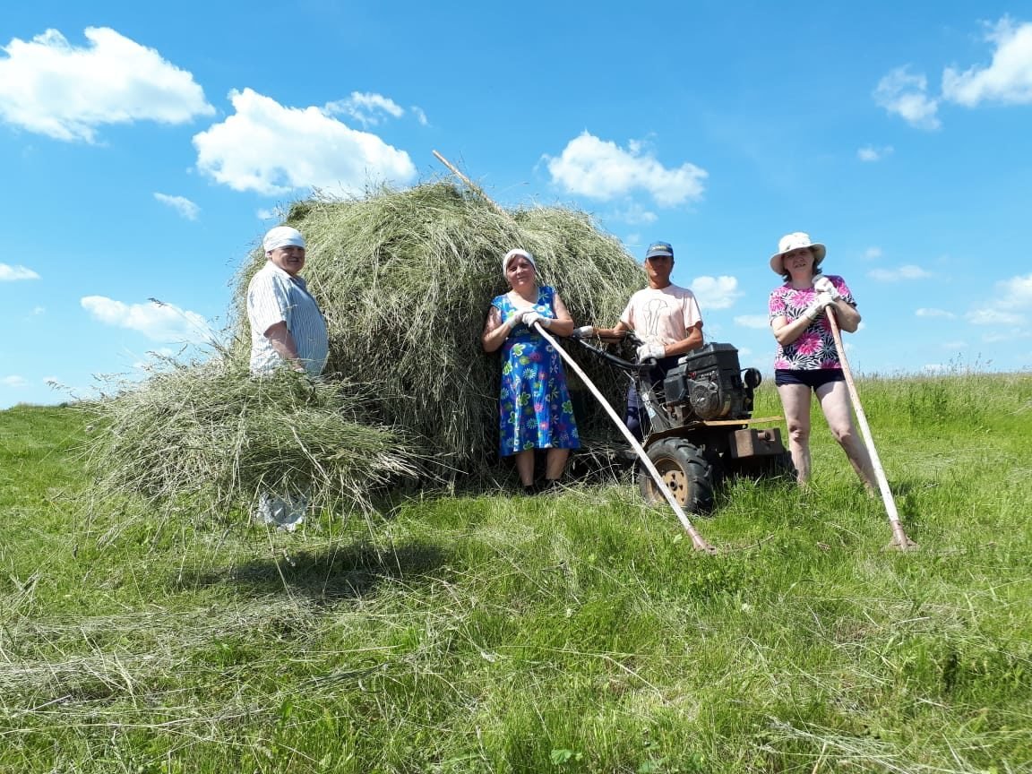 Картинка сенокос в деревне