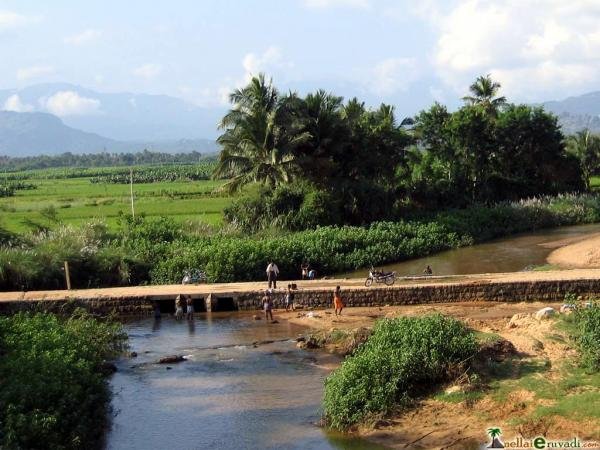   3. , Tamil Nadu, Srimulakkarai, Unnamed Road