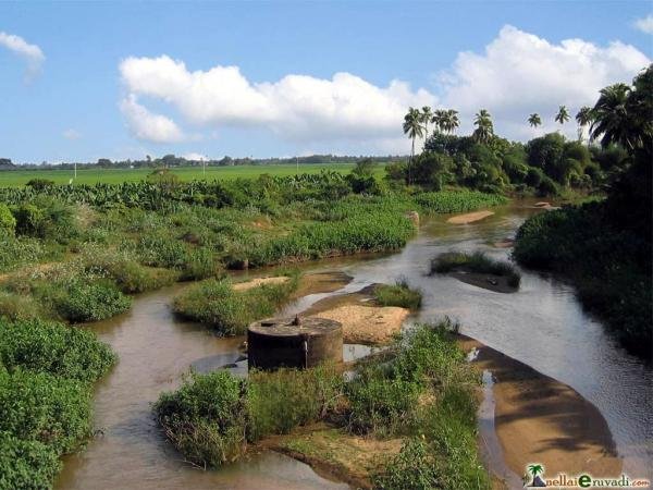   4. , Tamil Nadu, Srimulakkarai, Unnamed Road