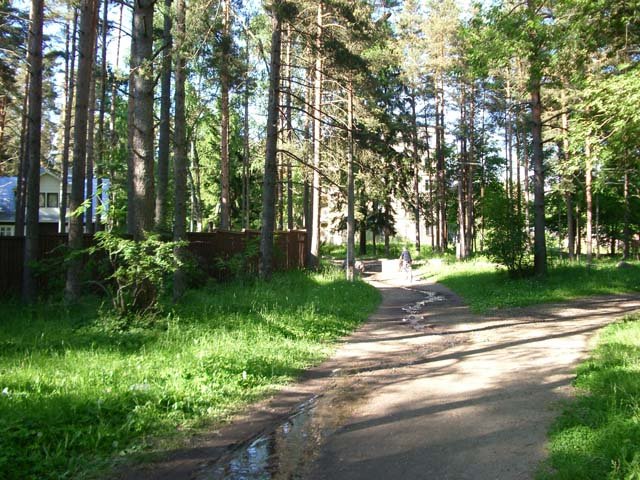 ���� ��������. ������, ������������� �������, ���������� �����