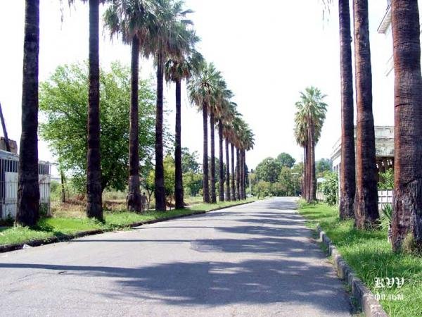   7. , , , Tbilisi-Senaki-Leselidze road turn to Abkharkhuki-Achadara-Durif