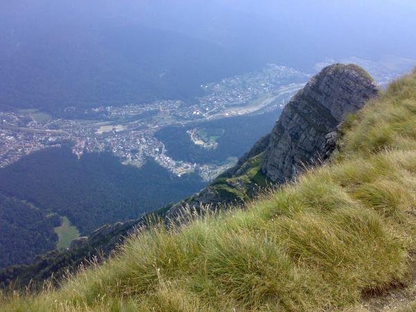   2. , Judetul Prahova, Strada Ciocarliei, 38