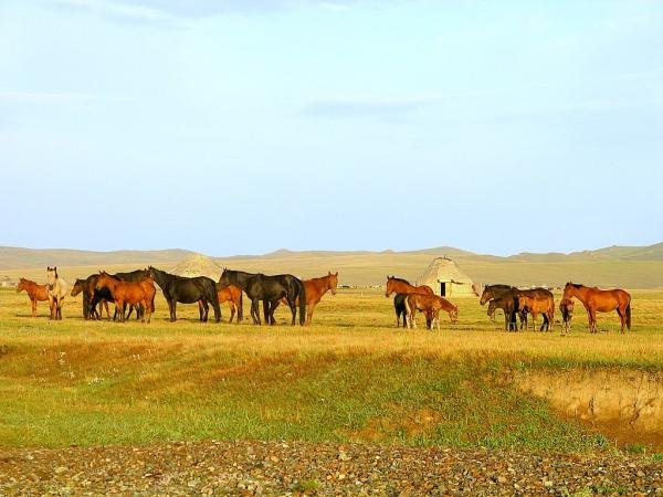   1. , Naryn Province, Unnamed Road