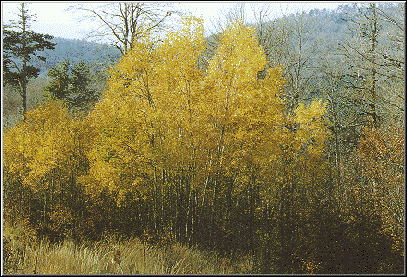   2. , Makedonia Thraki, Unnamed Road