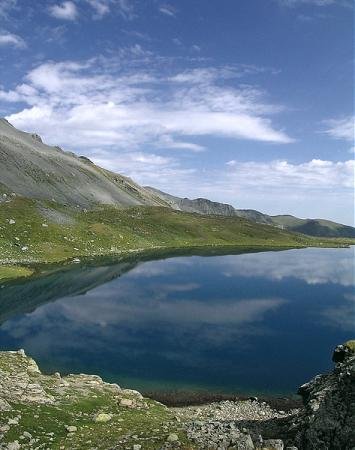 ����  �2. ������, ���������-���������� ��������, �265