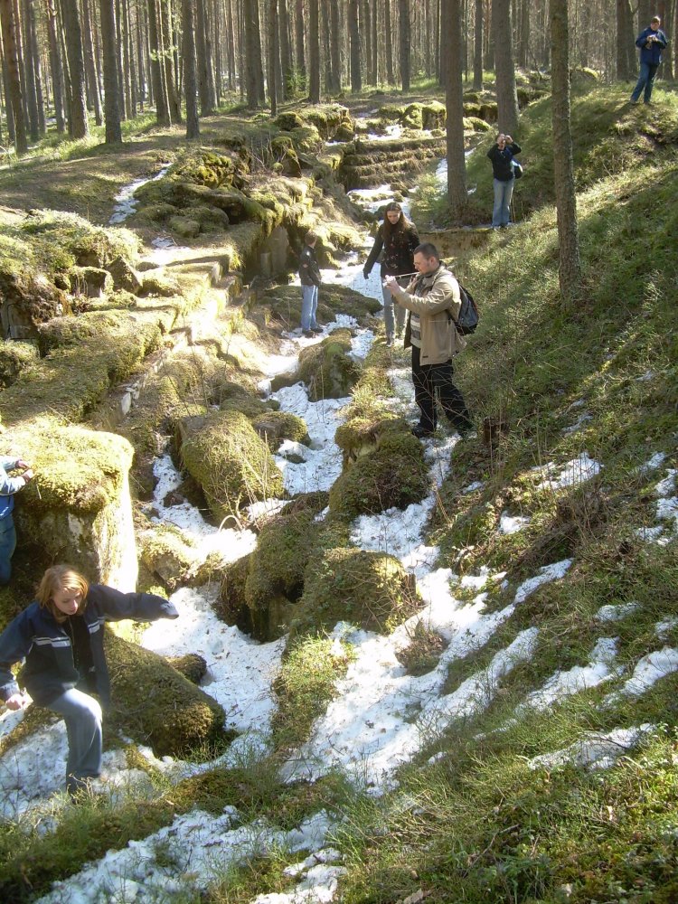 ���� ����� �����. ������, ������������� �������, ���������� �����