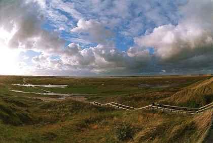   1. ,  , De Waal, Nieuwlanderweg, 40