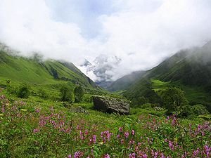 Фото Долина цветов. Индия, Утаранчал, Ghangaria - Valley of Flowers Trek route