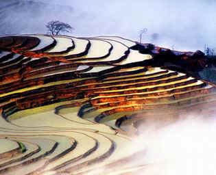  Yuanyang Rice Terraces. , , Honghe, Gejiu, Douyan Section