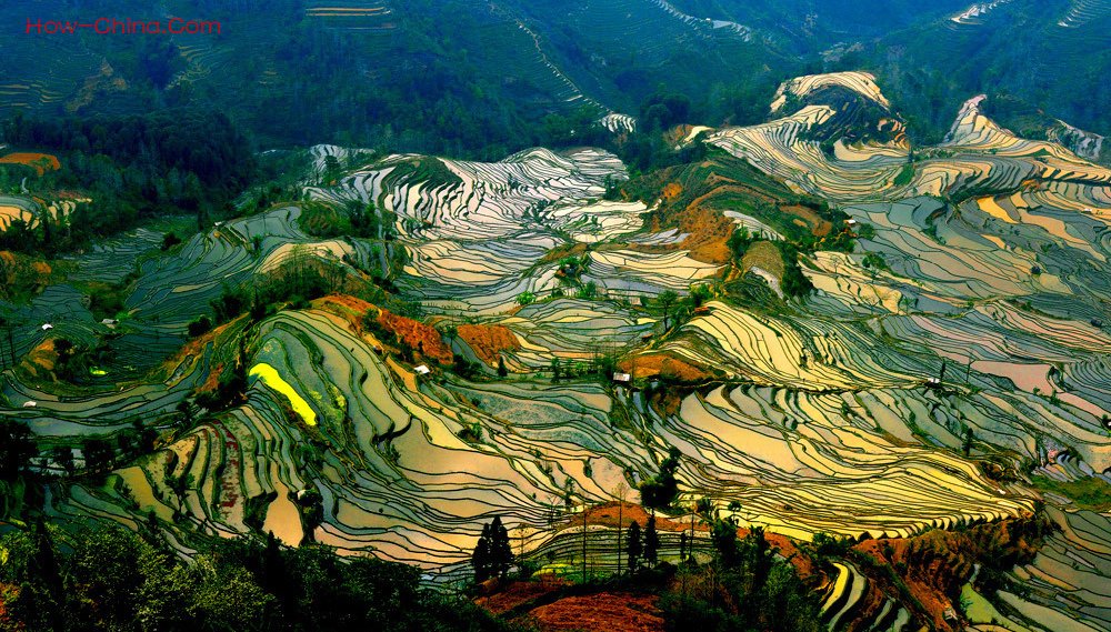  Yuanyang Rice Terraces. , , Honghe, Gejiu, Douyan Section