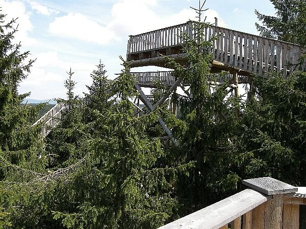 Фото Тропа по вершинам деревьев. Германия, Бавария, Нойшёнау, Бёмштрассе, 37